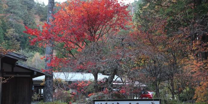 滝見温泉 滝見の家（長野県 旅館） / 1