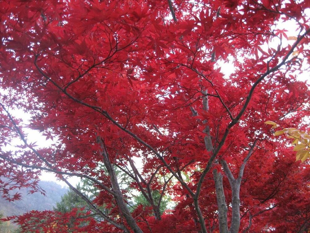 施設からの眺望