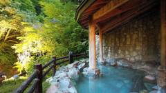 湯西川温泉 彩り湯かしき 花と華