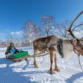 ヒノデヒルズ ニセコビレッジ（北海道 ビジネスホテル） / 2
