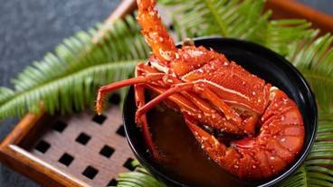 食事・飲み物 / 9