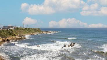 ビーチ / オーシャン ビュー / 14