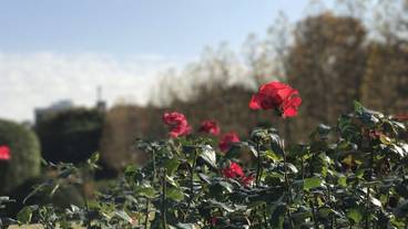 観光スポット / 16