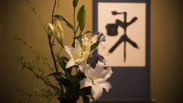 内装の詳細 / 35