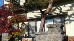 松本バックパッカーズ