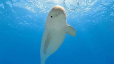 観光スポット / 28