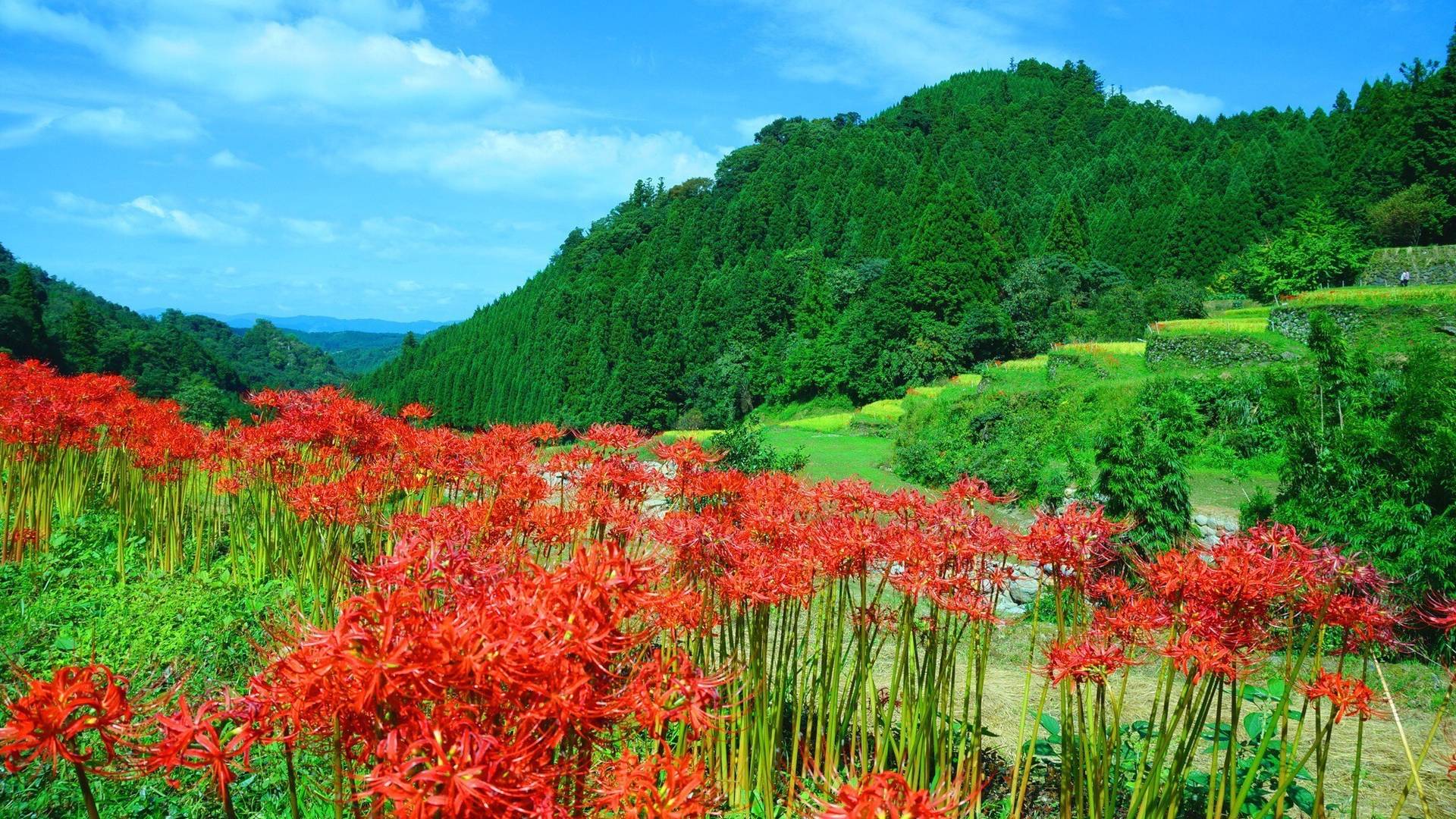 福岡県_3