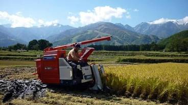 施設の敷地 / 20