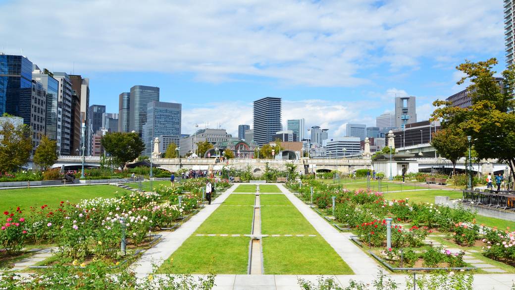 中之島公園内のバラ園 / 1