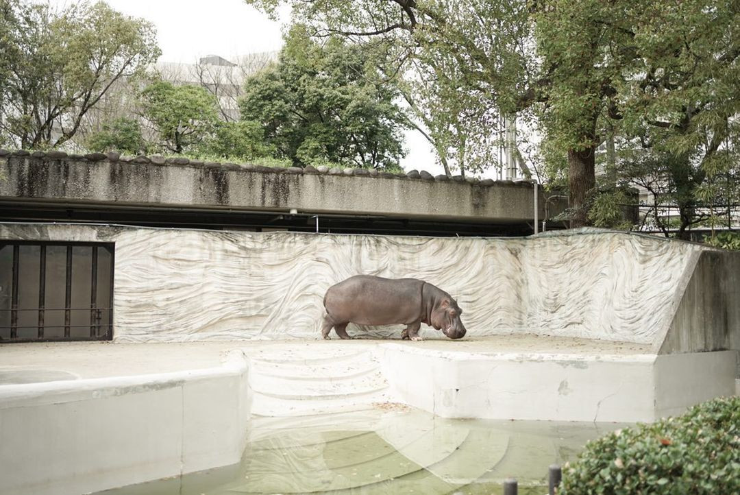 su_zoo_sansanさんの写真 / 1