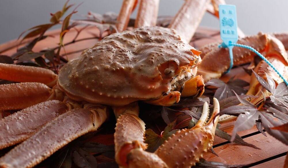 石川県産ブランド「加能蟹」 / 5