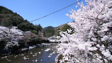 ハイキング / 15