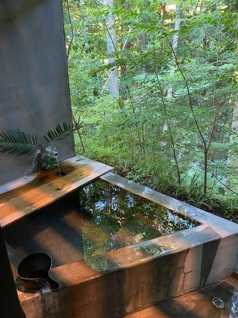 namihnisさんの写真 / 1