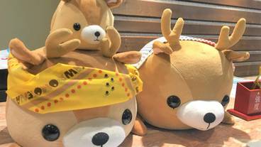 ギフト ショップ / 9