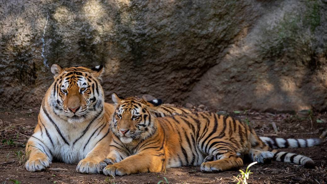 浜松市動物園 / 2