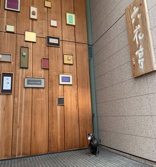 六花亭 札幌本店 外観 / 3