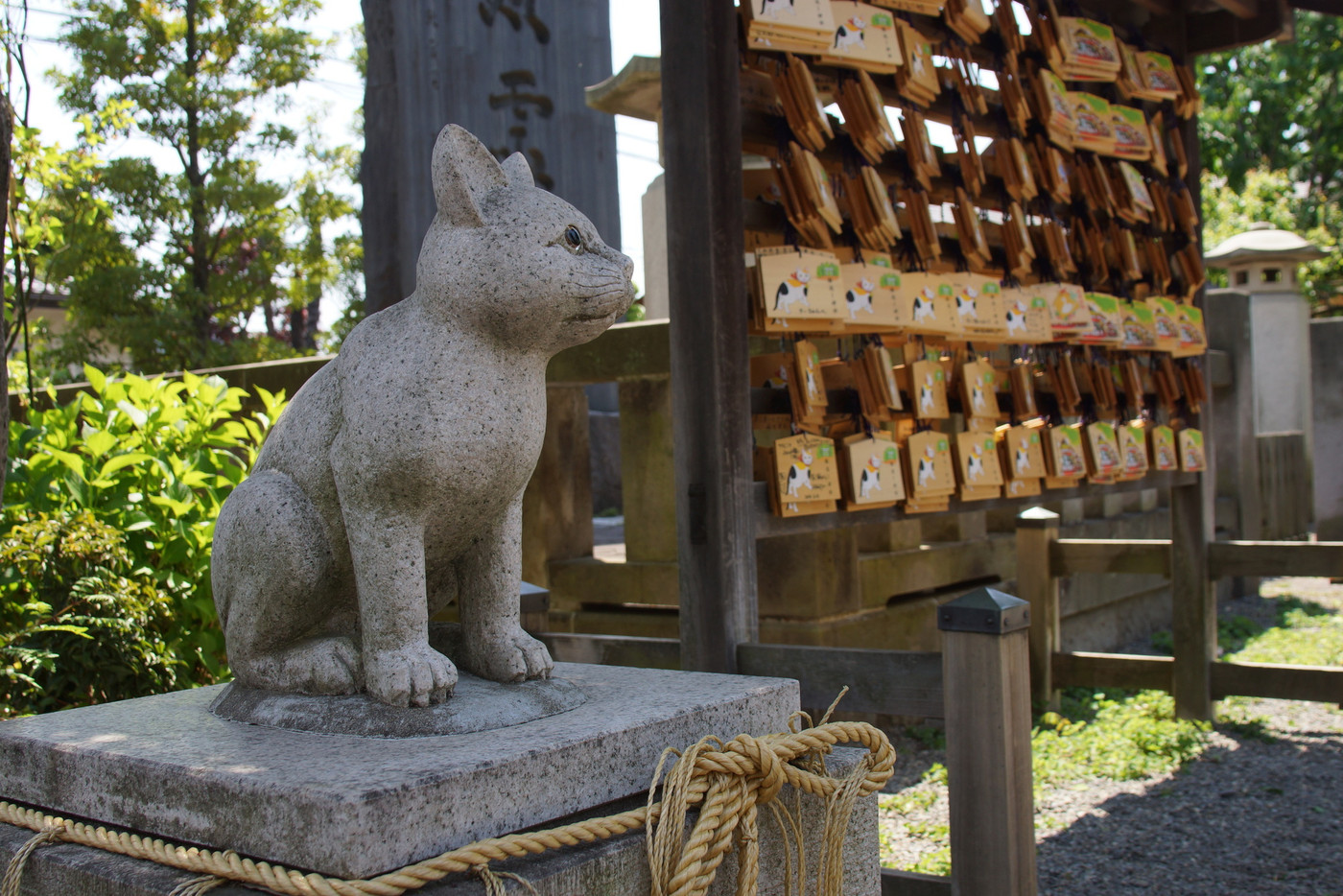 迷子ネコが戻る？「猫返し神社」4090746