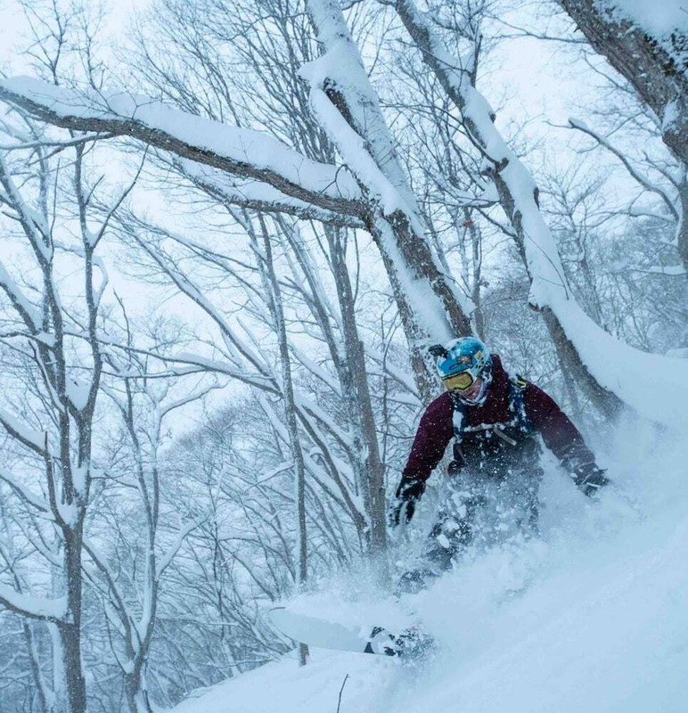 スノー スポーツとスキー