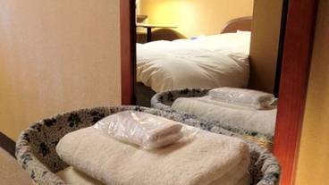 客室の設備とサービス / 19