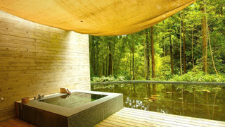 デラックス ルーム (Day Bed, Shizuku)