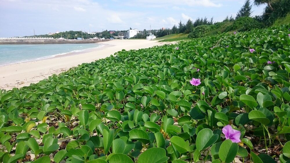 施設からの眺望