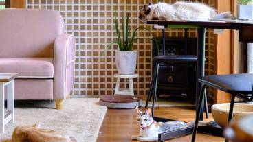 施設内の設備 / 4