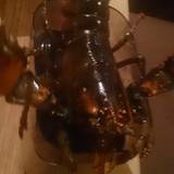 活海老バル orb ウラなんば（エビバルオーブ）