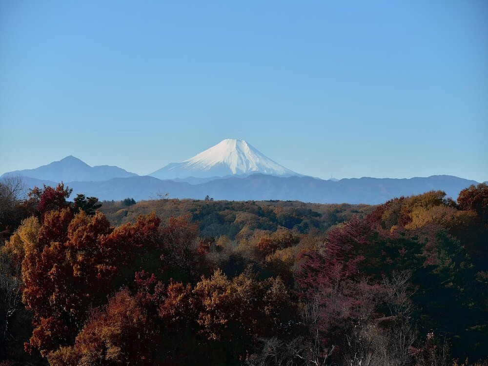 マウンテン ビュー