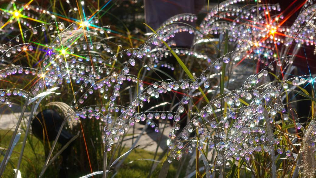 箱根ガラスの森美術館 / 2