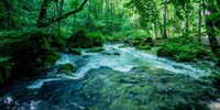 【青森】千年の秘湯「蔦温泉旅館」で彼とゆっくり過ごす癒しの旅