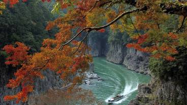 施設の敷地 / 25