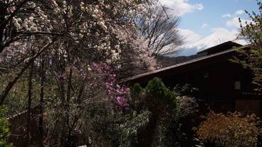 施設の敷地 / 14