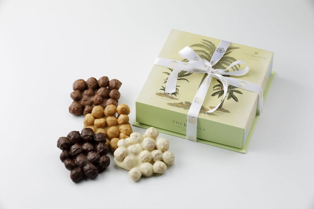 横浜で気軽にハワイ旅行気分！スパにはサウナやプールも4374752