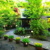 由布院温泉 山紫御泊処 はなの舞(大分県 旅館) / 4
