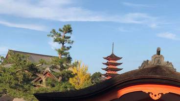 ランド ビュー / 20