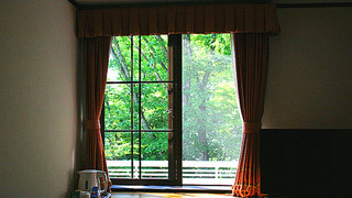 ラグジュアリー ダブルまたはツインルーム シングルベッド 2 台 禁煙 マウンテンビュー