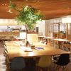 お台場のおしゃれカフェでひと休み♪おすすめ店7選