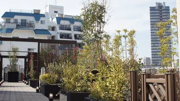 施設からの眺望 / 12