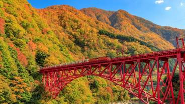 観光スポット / 5