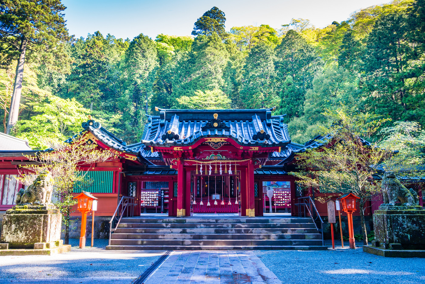 （神奈川県）箱根神社　御本殿