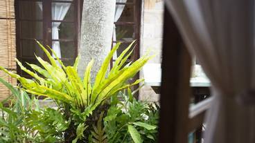 テラス / パティオ / 9