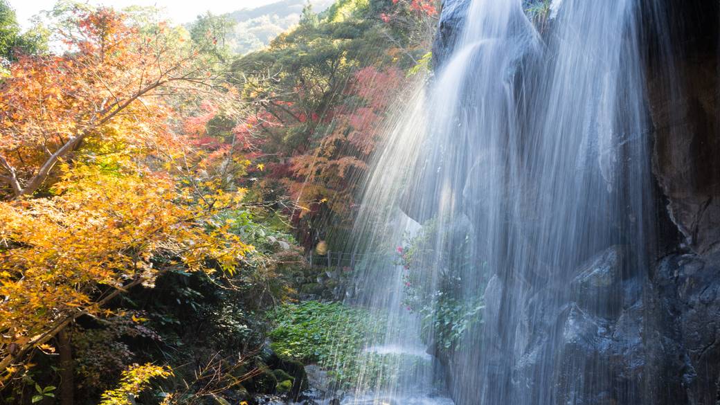 熱海梅園　梅見の滝 / 4