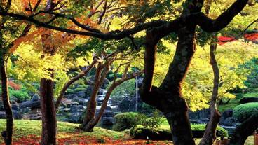 観光スポット / 11