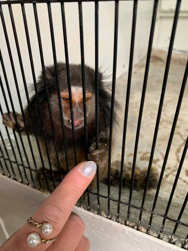 econeco0923さんの写真 / 1