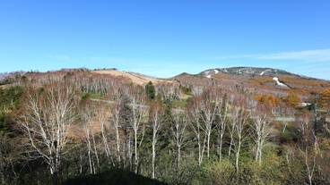 施設からの眺望 / 16