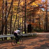 塩原温泉 赤沢温泉旅館（栃木県 旅館） / 4