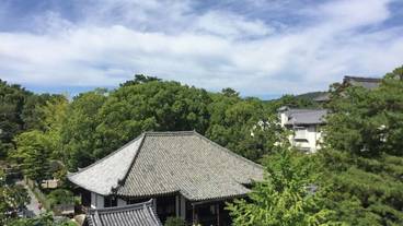 施設からの眺望 / 6