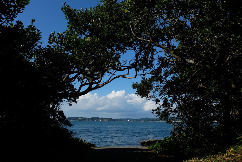 ▼周辺の絶景スポット「沖ノ島海水浴場」4279291