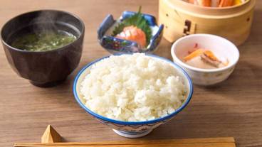 食事・飲み物 / 27