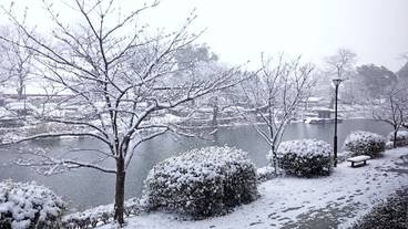 施設からの眺望 / 30